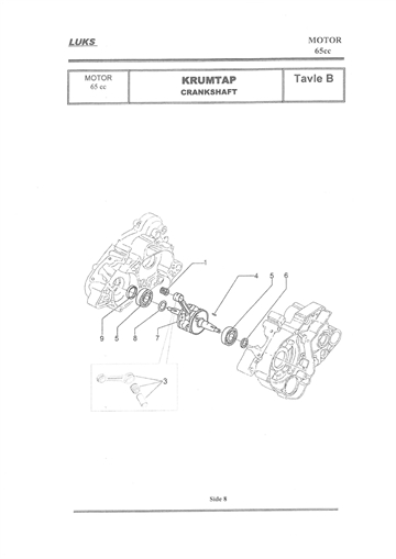 M65-C Competition - 65cc - Krumtap - Chrankshaft