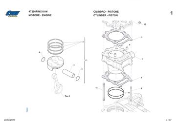 Stempel + Cylinder